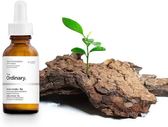 Amino acids serum dropper bottle next to a green plant sprout on tree bark, skincare concept